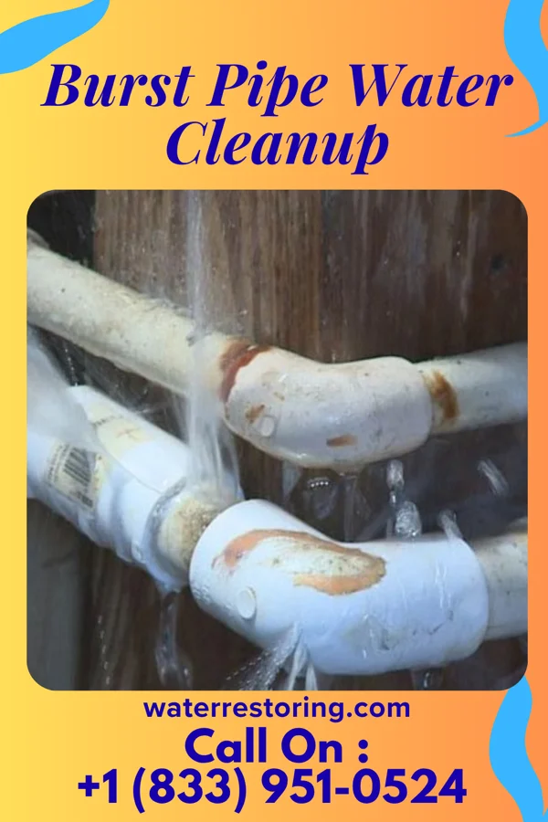 Burst Pipe Water Cleanup in Melrose, OH