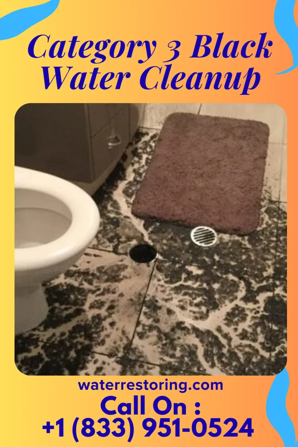 Category 3 Black Water Cleanup in Melrose, OH