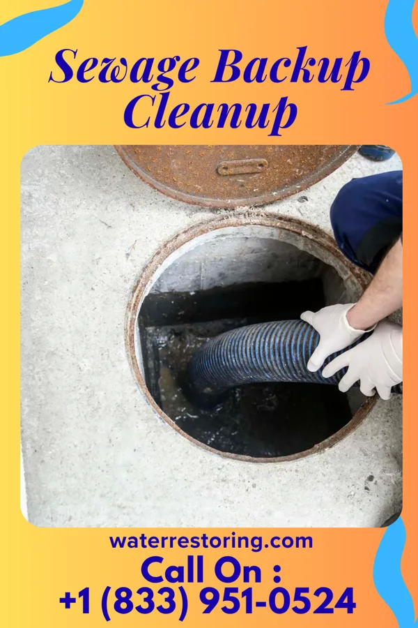 Sewage Backup Cleanup in Melrose, OH