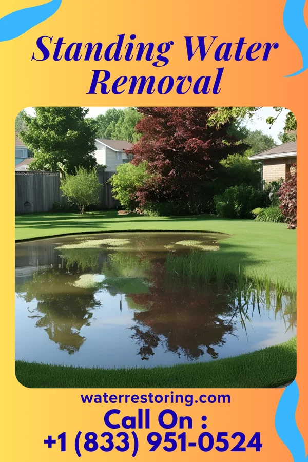 Standing Water Removal in Melrose, OH